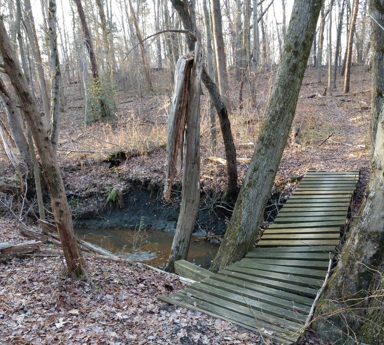 Gloucester County College Trail System (Sewell,&nbspNJ)